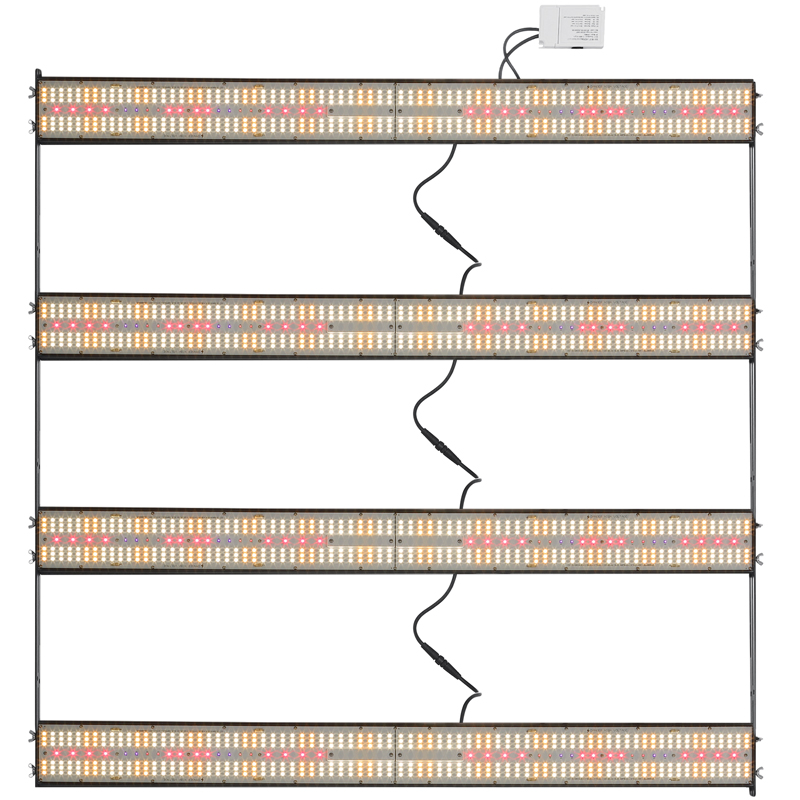 LED Full Spectrum Full Spectrum Weed Growing QS Suppliers 1000 Watt LED Growing Plants Succulents Grow Light Weed Growing Red Blue with 301h (CE)