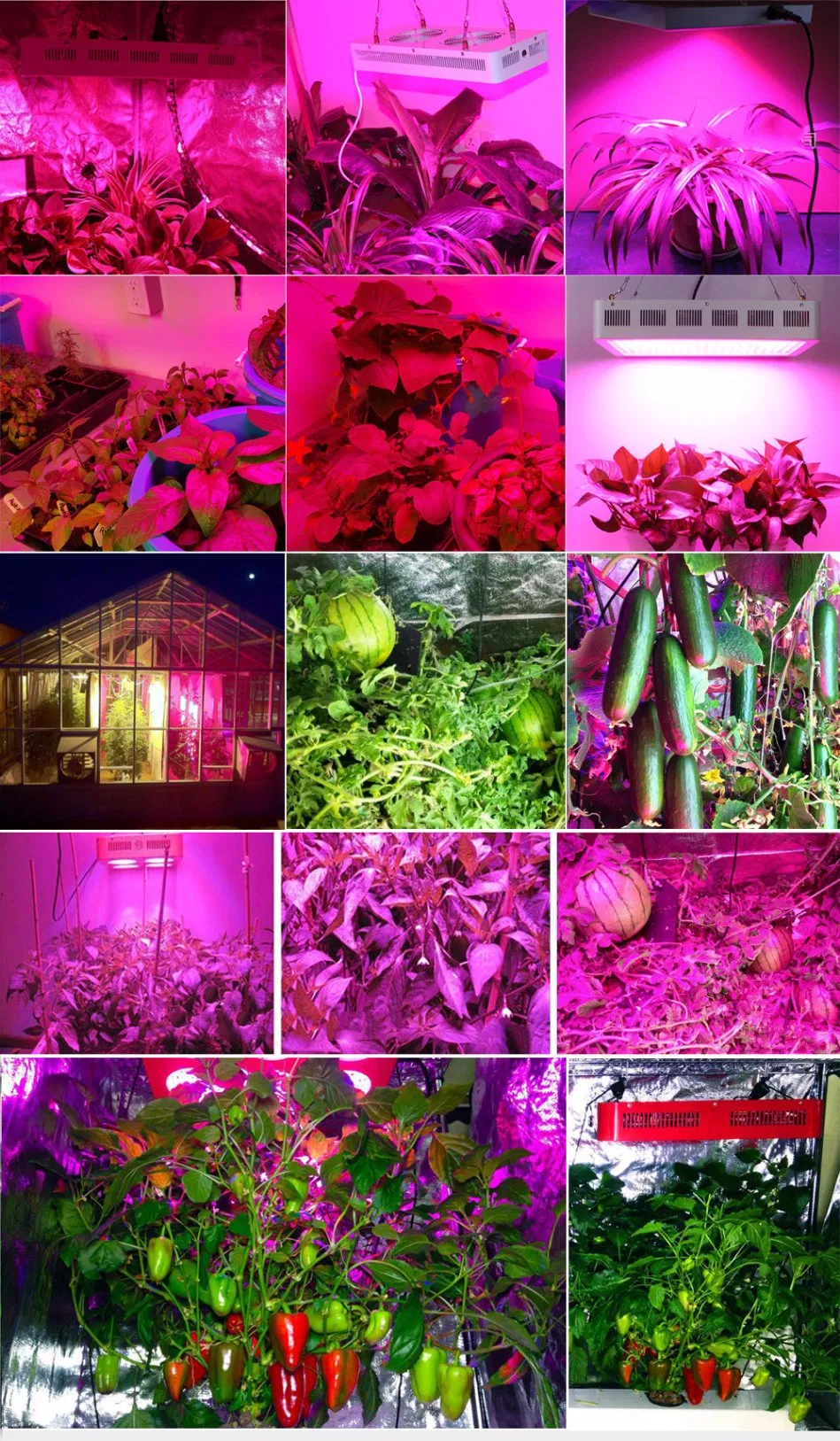 LED Grow Light Growth Performance