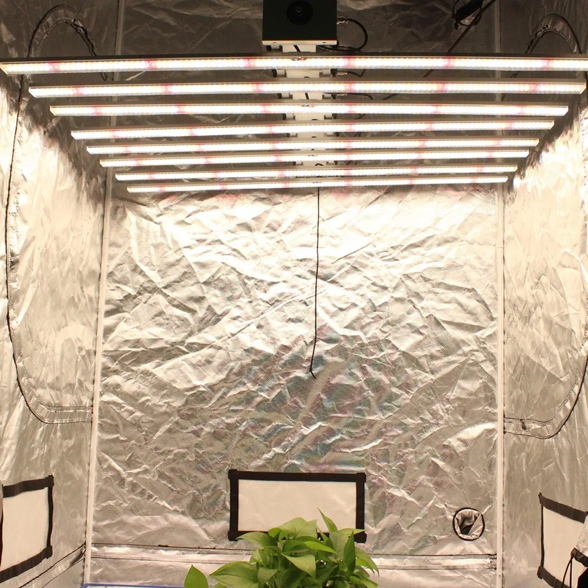 Toplighting Greenhouse Grow Lamp COB Horticulture Hydroponic Light for Indoor Plant Full Spectrum LED Grow Lights Ba