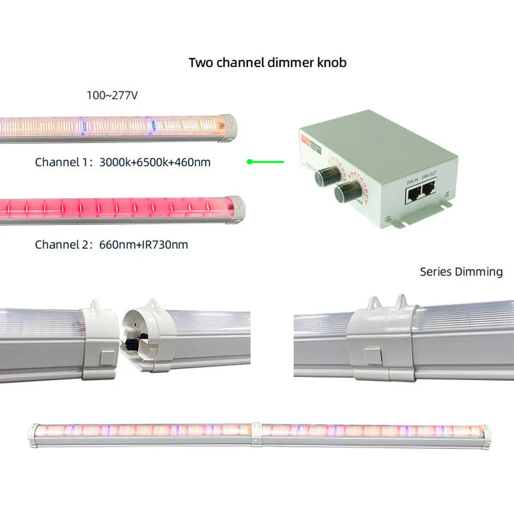 Long-Lifespan Samsung Lm281b 0-10V Dimmable Grow Light