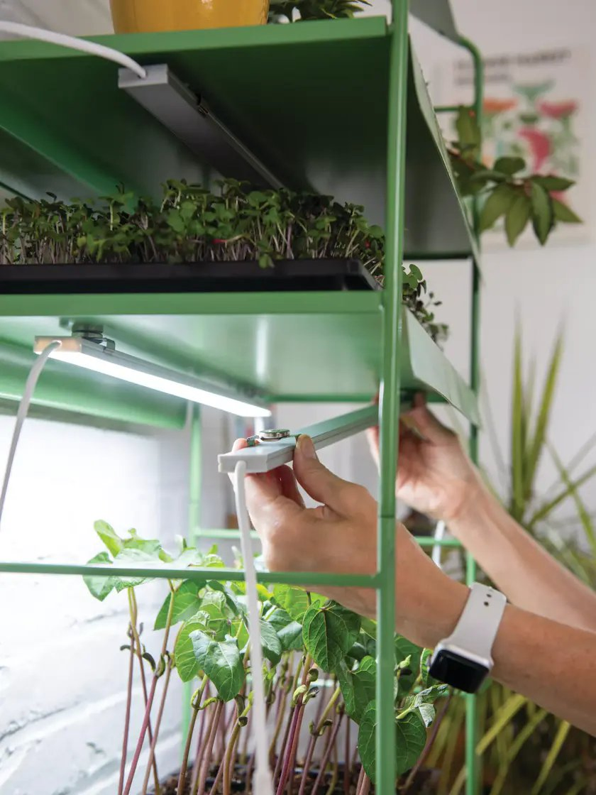 High-Performance Magnetic LED Grow Lights for Indoor Gardens