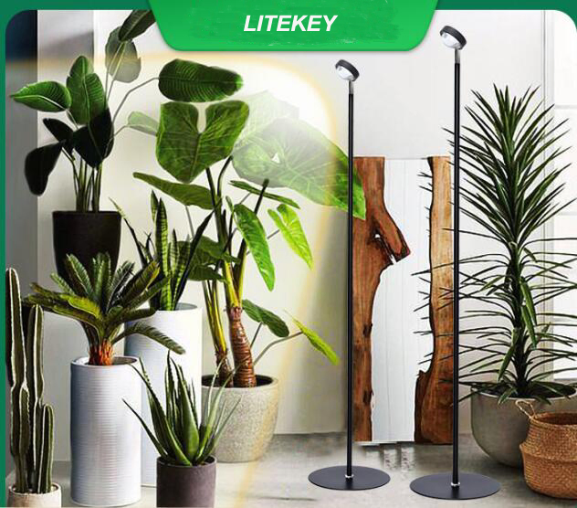 Full Spectrum COB Plant Grow Light, Floor-to-Ceiling Plant Fill Light, Automatic Timer, Dimmable Brightness for Indoor, 20W 2m Height