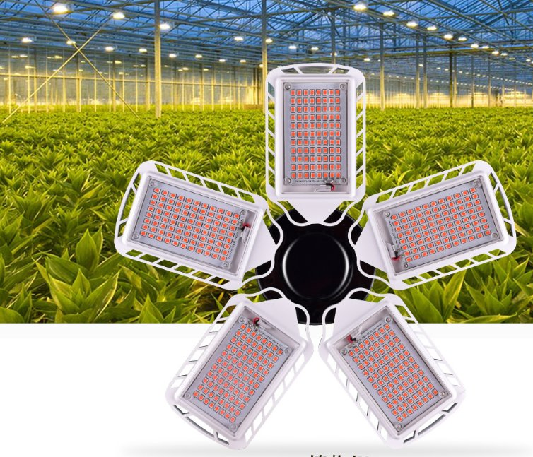 Ratio Customized 300-730nm Greenhouse Hydroponic Red Blue 5 Fan Foldable Fan Blade Full Spectrum LED Grow Light
