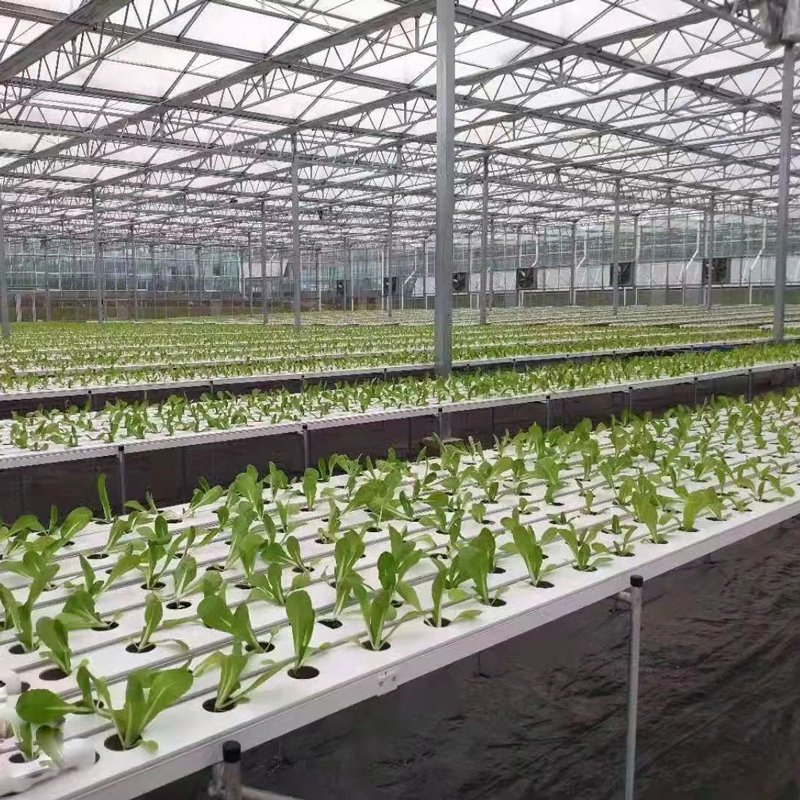 Nft Hydroponic Channel Greenhouse Vertical Farming System Zipgrow with Lights Vertical-Farming-Systems