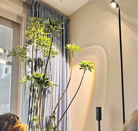 Full Spectrum COB Plant Grow Light, Floor-to-Ceiling Plant Fill Light, Automatic Timer, Dimmable Brightness for Indoor, 10W 1.6m Height