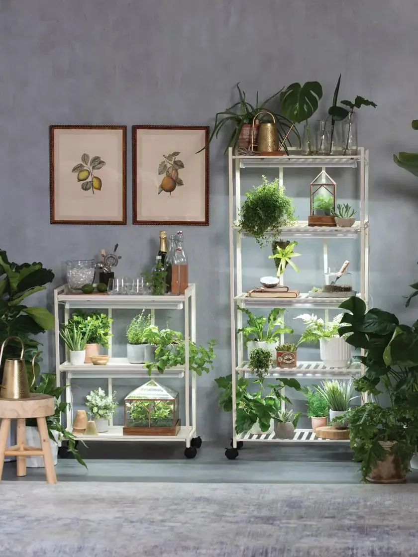 LED Grow Light System