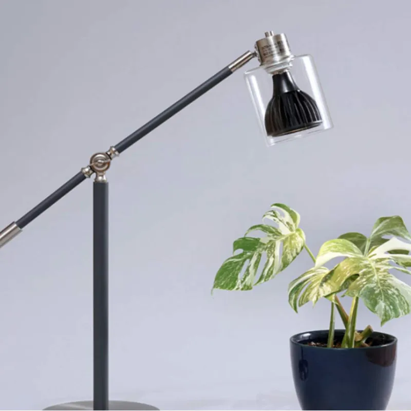 Plant Grow Light Application