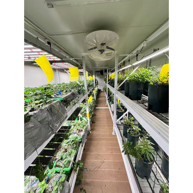 Agg Modern Style 40FT Shipping Container Microgreens Container Weed Vertical Farming Container Farming Nft Hydroponic System