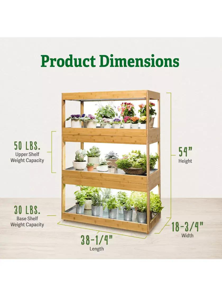 Eco-Friendly Bamboo LED Grow Light for Indoor Succulents