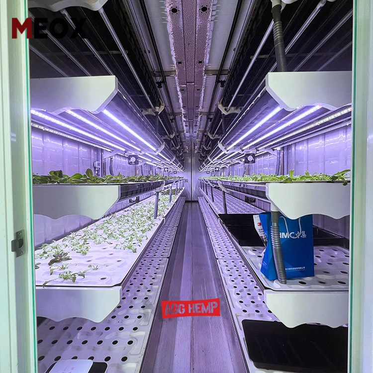 Agg Strawberry Wheat Grow 20FT 40FT Strawberry Hydroponic Lettuce Shipping Container Farm Plant Integrated Cargo Aquaculture System for Growing Herbs, Flowers