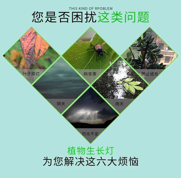 LED Plant Grow Light 2