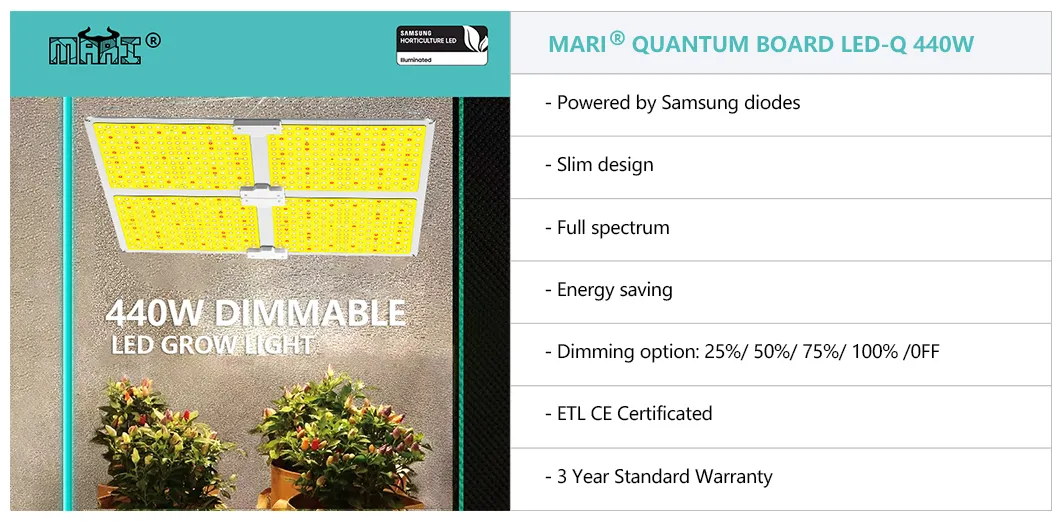 LED Grow Light Overview