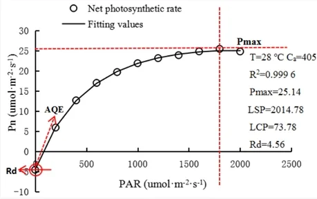 Light Homogeneity
