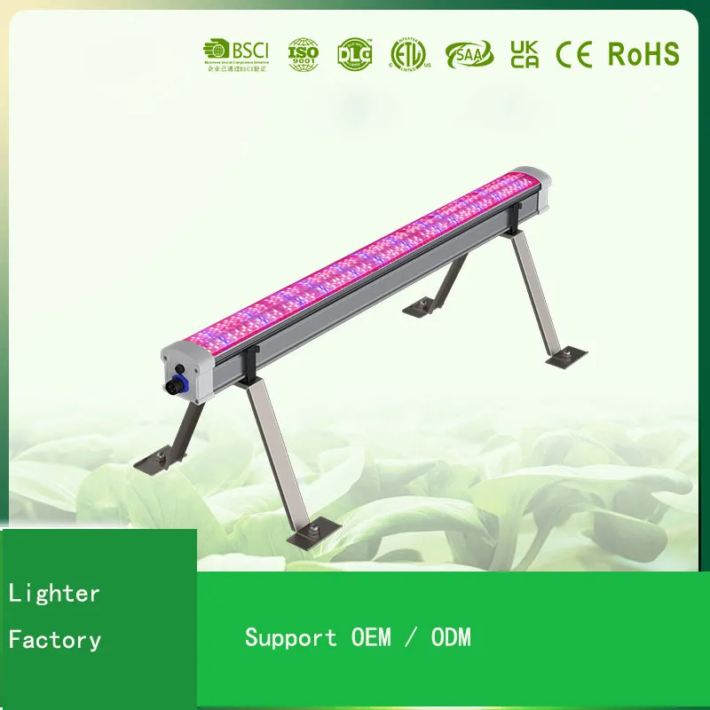 Indoor Grow Light 1