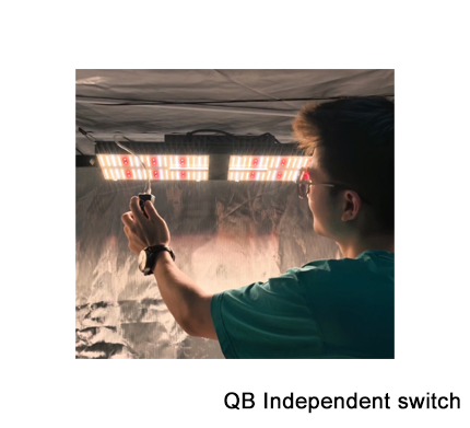 Qb UVB/UV Energy Saving 4by4 Suppliers IP 65 DIY Full Spectrum Grow Light Lighting Tent IR Red with 301b Chips (CE)