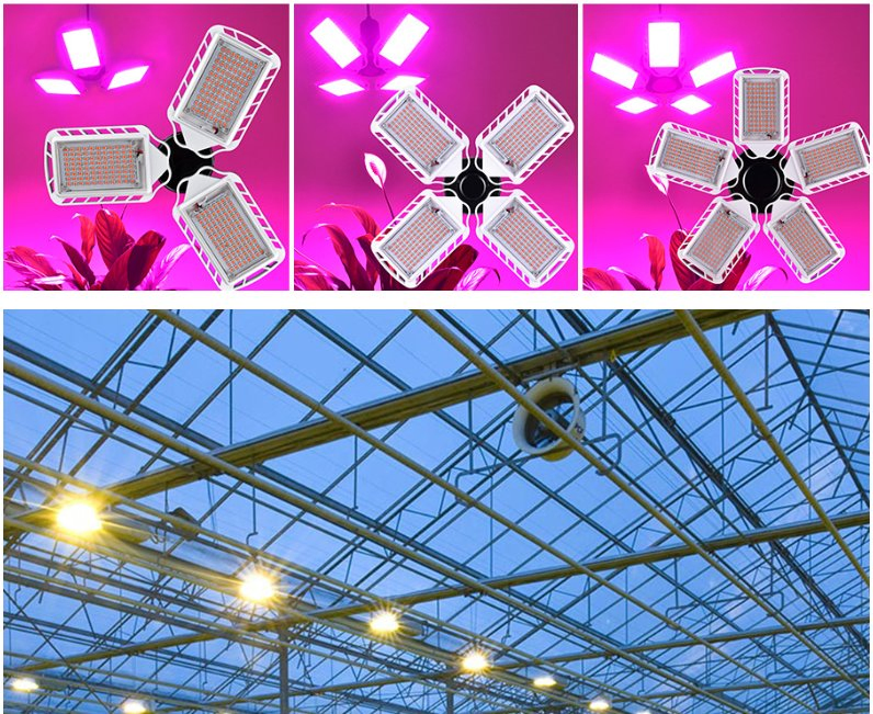 Ratio Customized 300-730nm Greenhouse Hydroponic Red Blue 5 Fan Foldable Fan Blade Full Spectrum LED Grow Light