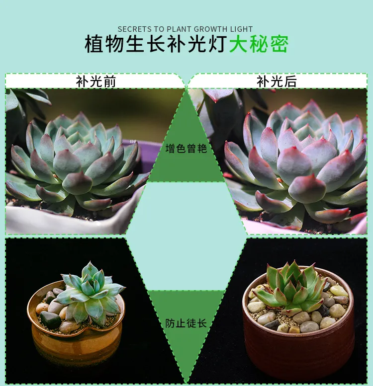 LED Plant Grow Light 3