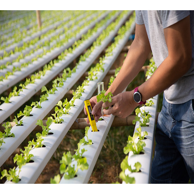 Agg Indoor Home Smart LED Light Plant Garden Greenhouse Nft Hydroponic 5-Layer Automatic Pump Grow Tower Kit Vertical Farming System