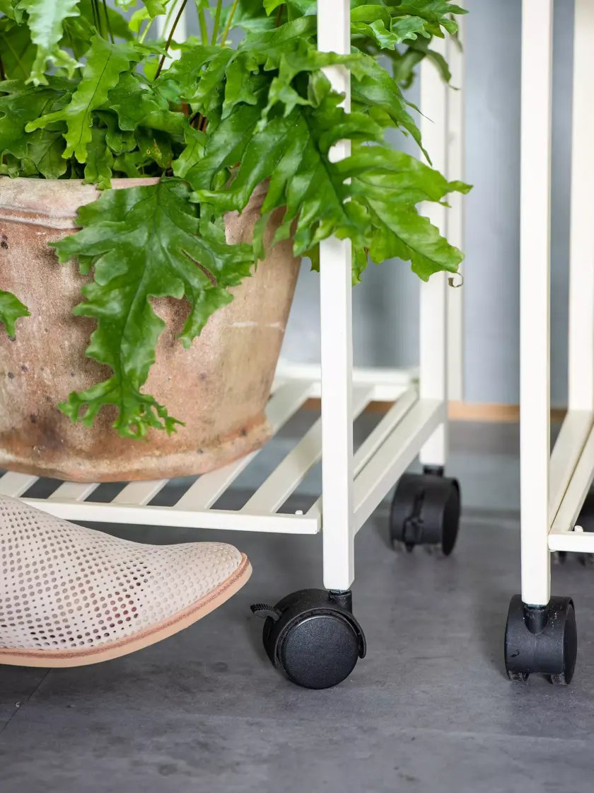 Superior Quality Minimalist LED Grow Light System for Top-Tier Indoor Growing