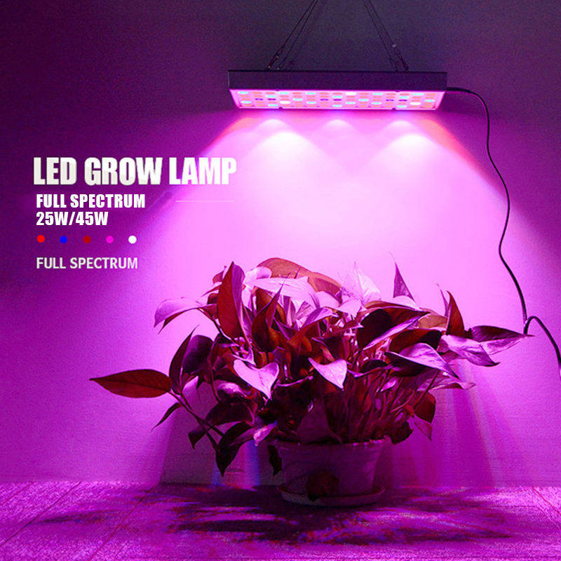 High Quality 2024 New Patent Square 40W 45W 300W Full Spectrum LED COB Grow Light for Flower/Vegetable
