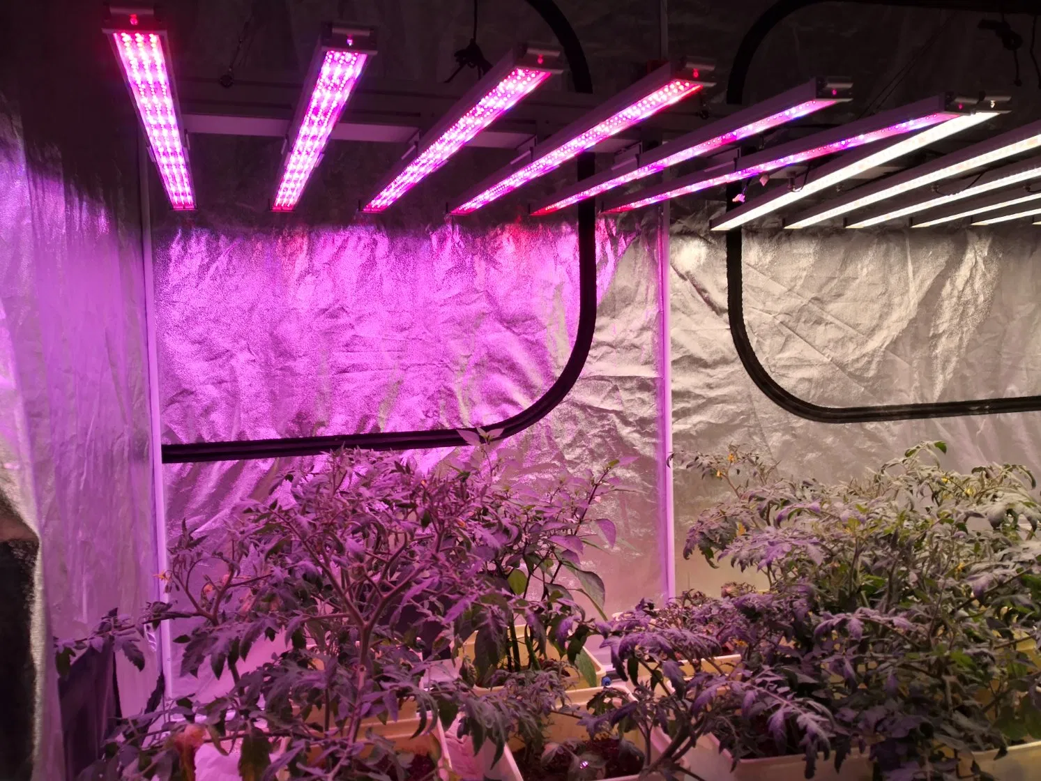 ATA Indoor Greenhouse LED Grow Light UV IR Full Spectrum Spider 800W 1000W LED Grow Light Bar