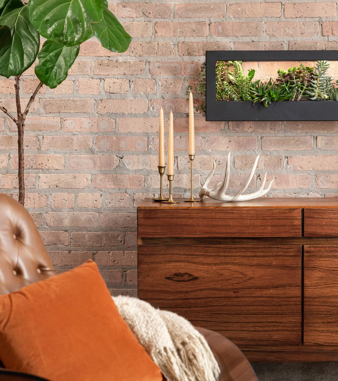 Wall Hang Smart Landscape Growframe Succulent with LED Grow Light.