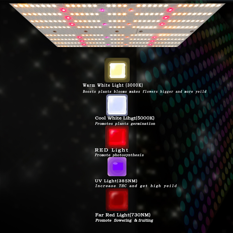 Efficient Samsung DIY Unit Plate Plant Growing Grow Lights Qb Full Spectrum Commercial-Scale Farming LED Grow Lights with IR/UVA/UVB