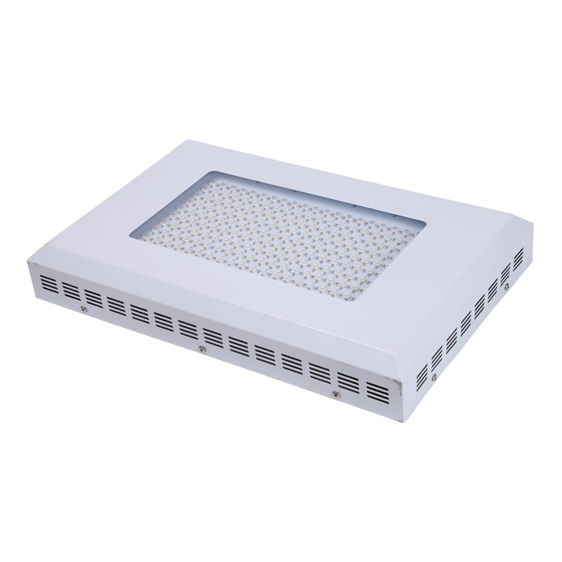 600W 1000W High Ppfd Full Spectrum LED Grow Light