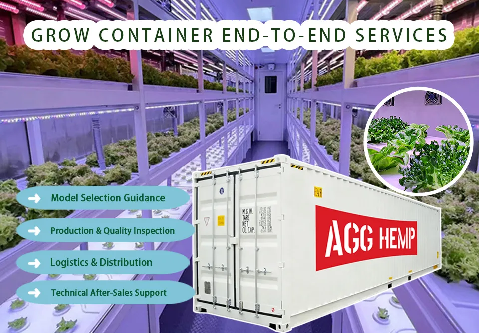 Hydroponic Container System