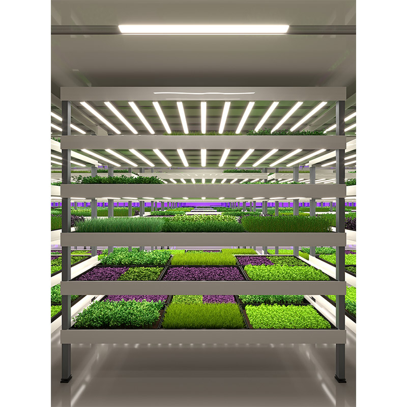 Agg Indoor Home Smart LED Light Plant Garden Greenhouse Nft Hydroponic 5-Layer Automatic Pump Grow Tower Kit Vertical Farming System