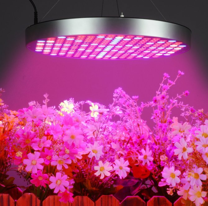 Wholesale Grow Light LED Full Spectrum Indoor Plant 50W Round Farming Green UV IR Spectrum Plant Growth Supplement Grow Lamp