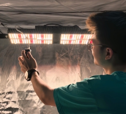 Qb UVB/UV Efficient Small Manufacturer IP 65 Large-Scale Growing LED Grow Light for Indoor Plant IR with Samsung LEDs (EMC)