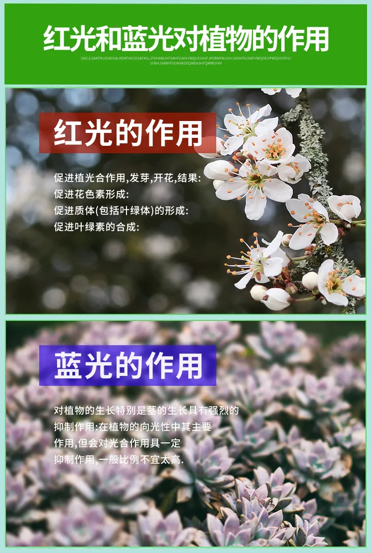 LED Plant Grow Light 11