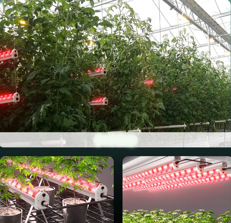 GS T8LED Full Spectrum Indoor Grow Light Plant Growth Seedling Tissue Culture Hydroponic Vegetable Succulent Farm Samsung IP65