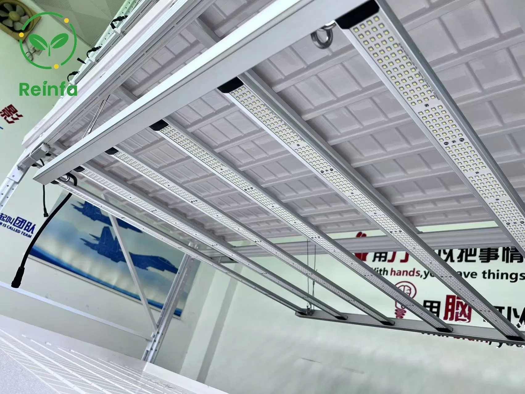 High Efficiency 650W LED Grow Light for Indoor Hydroponic System