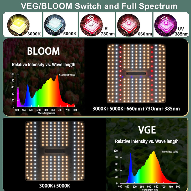 4*4 2*4FT Samsung 100W Watt Large-Scale High PPE Full Spectrum LED Grow Lights with (CE)