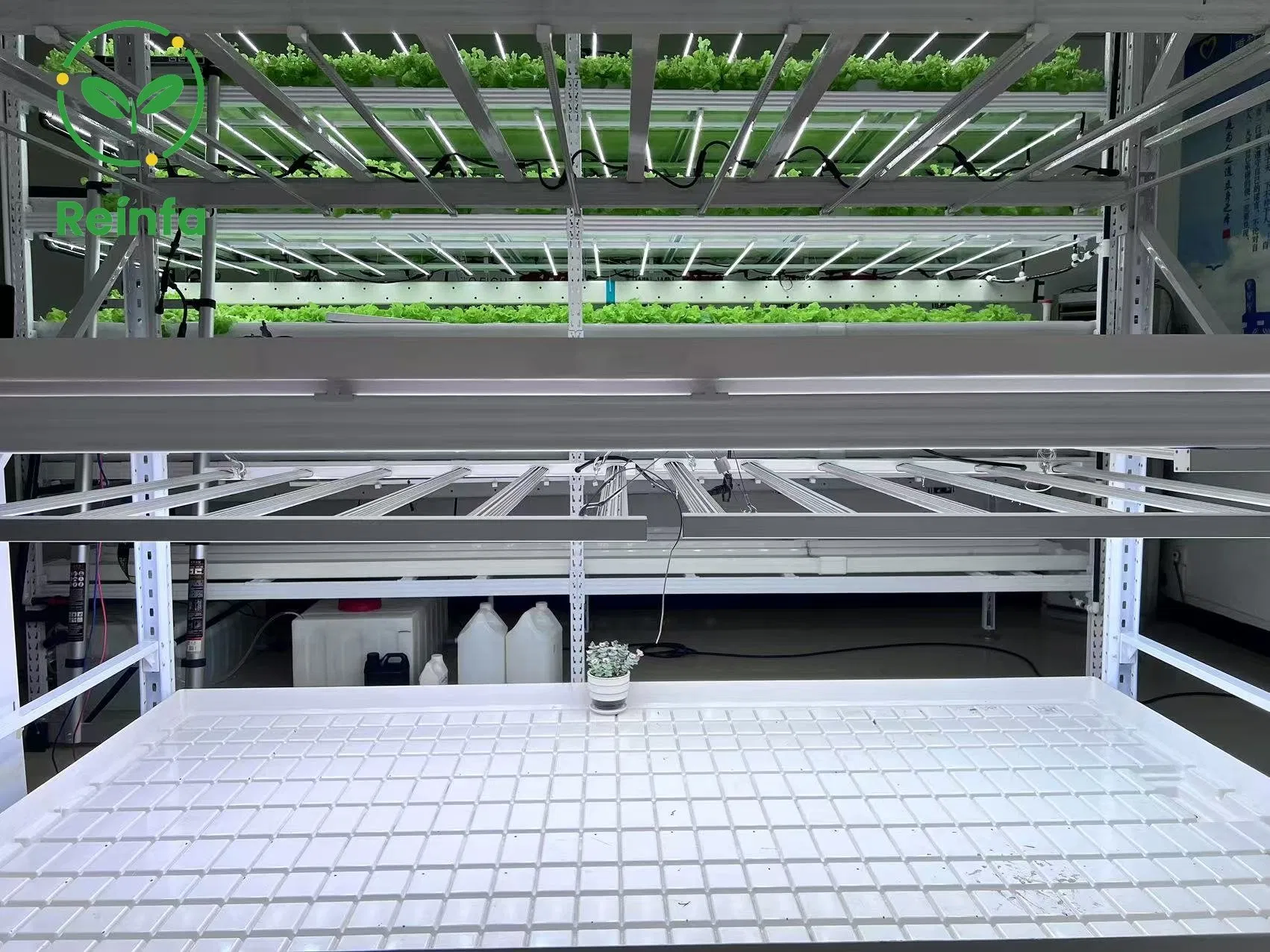 High Efficiency 650W LED Grow Light for Indoor Hydroponic System