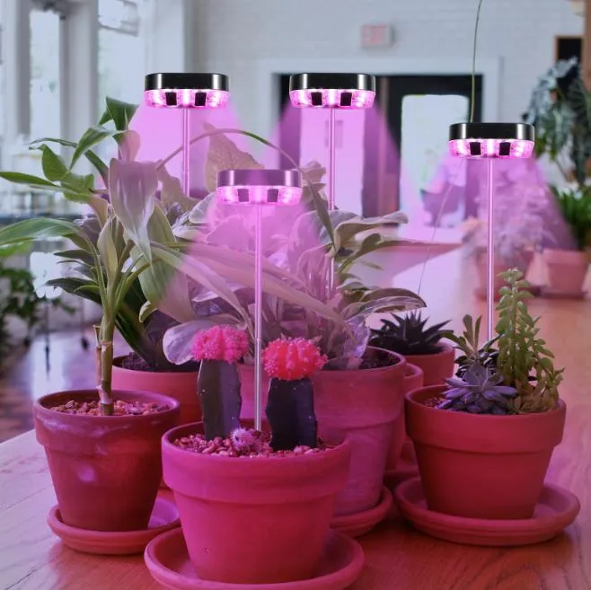 Height Adjustable Light