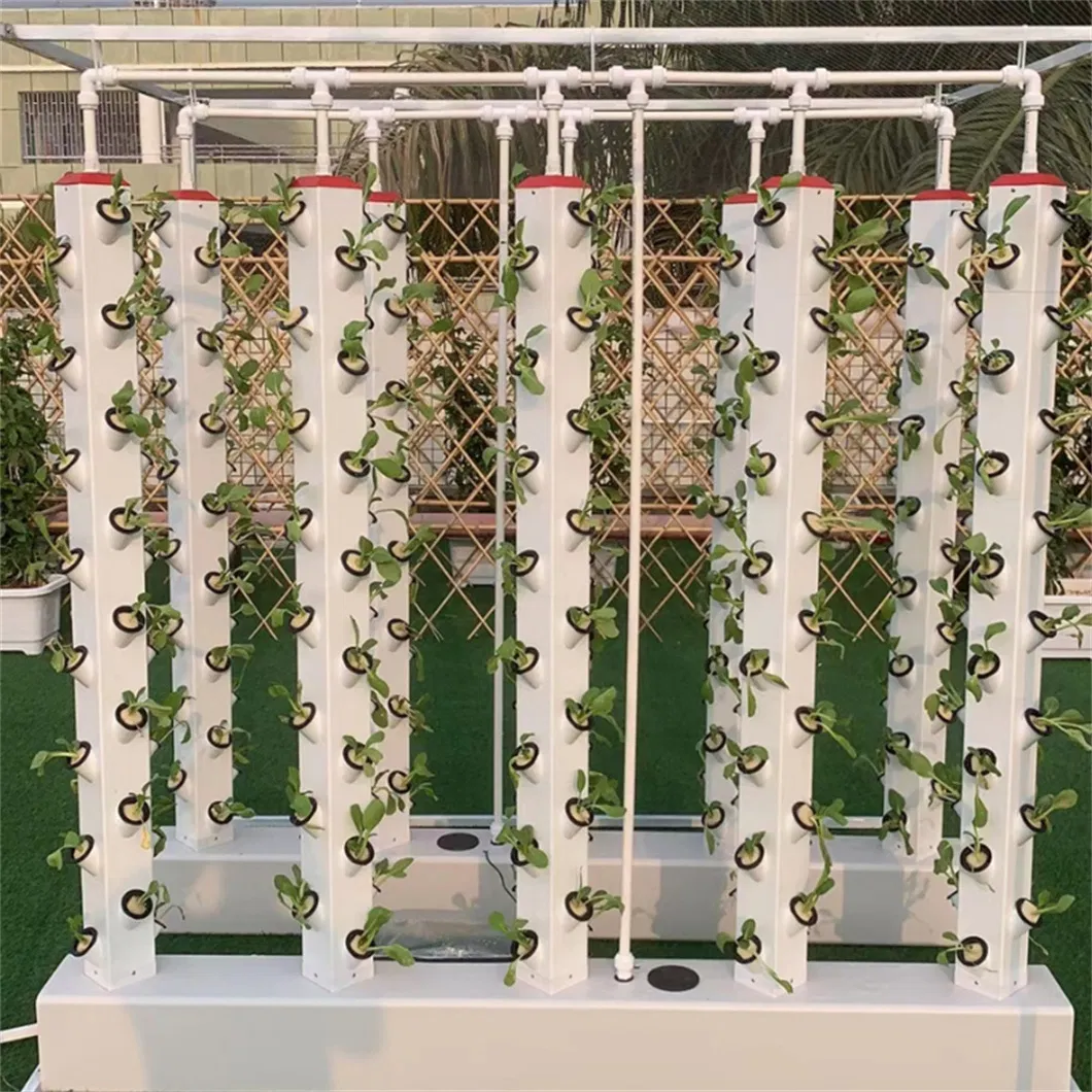 Indoor Vertical Farm