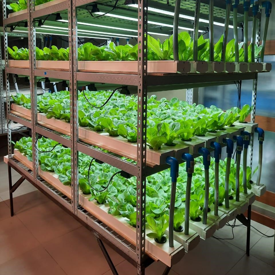 Vertical Hydroponic System 2023 New Design Indoor Plant Vertical Farming LED Grow Light for Sale