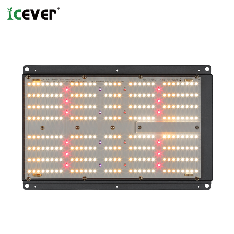 Qb UVB/UV Energy Saving 4by4 Suppliers 600W Indoor Growing Plant Grow Light for Booster IR with Seoul LEDs (CE)