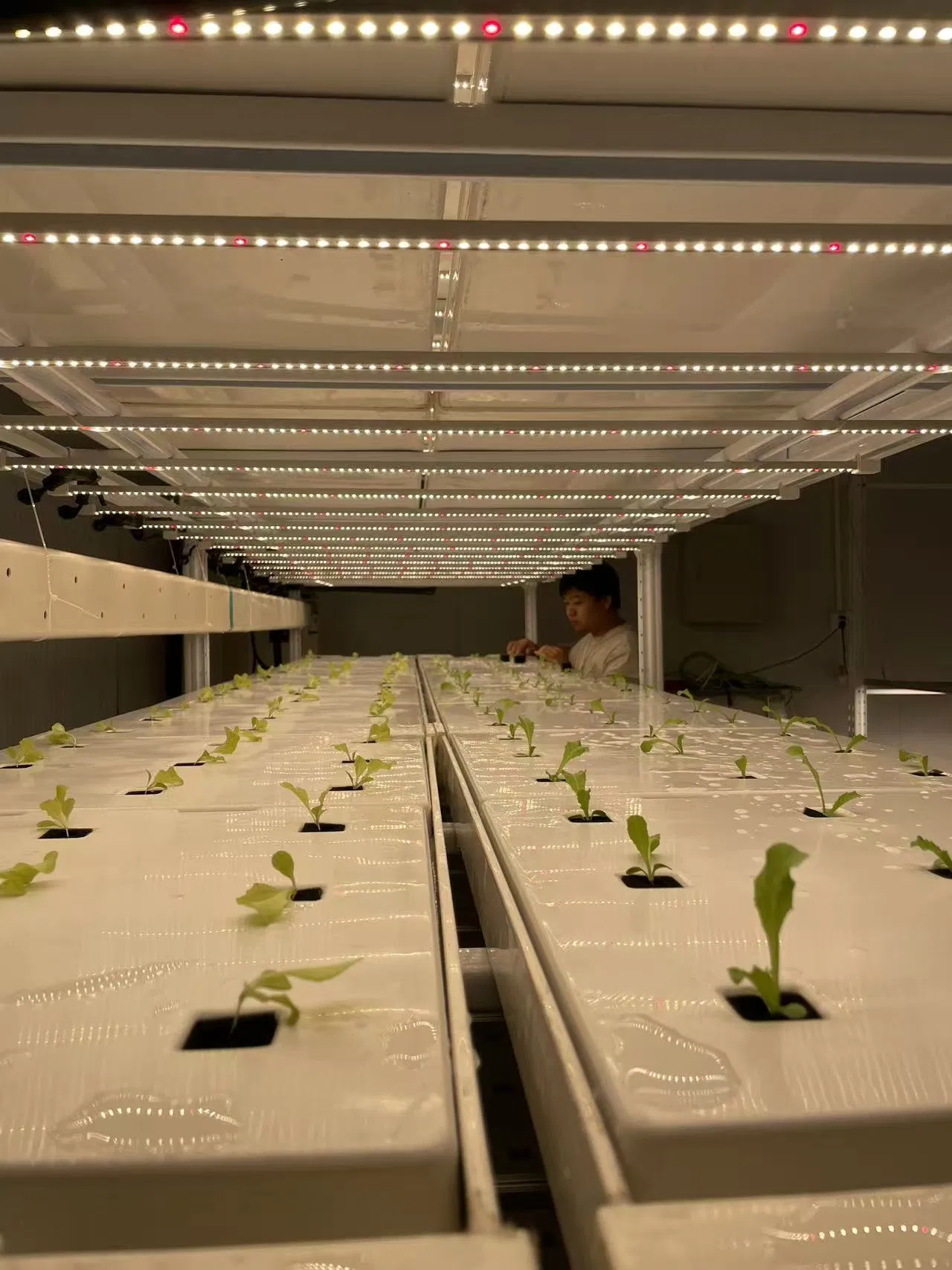 Vertical Farming Kit with Modular Structure Integrated Adjustable LED Grow Lights and Smart Flood-Drain Irrigation System