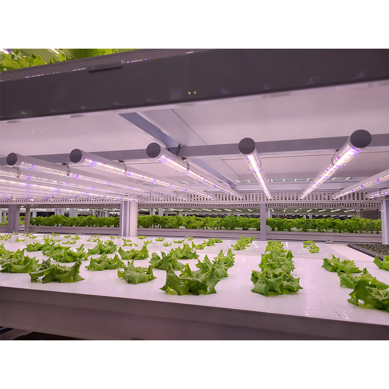 Agg Indoor Home Smart LED Light Plant Garden Greenhouse Nft Hydroponic 5-Layer Automatic Pump Grow Tower Kit Vertical Farming System