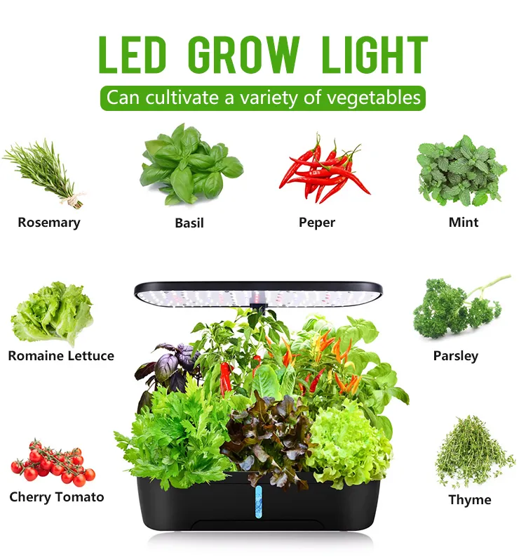 Indoor Garden System