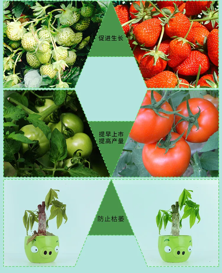 LED Plant Grow Light 4