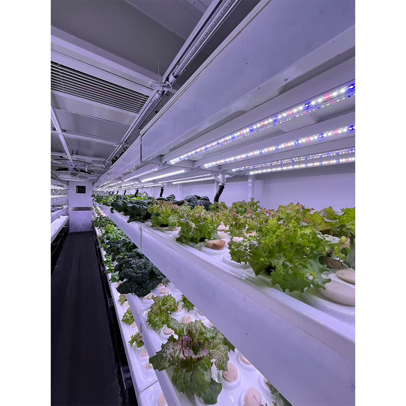 Agg Modern Style 40FT Shipping Container Microgreens Container Weed Vertical Farming Container Farming Nft Hydroponic System