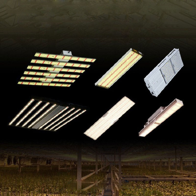 Tp Mini Quantum Panel with Samsung Lm281b Diodes UV IR Full Spectrum LED Grow Light Board for Grow Tent