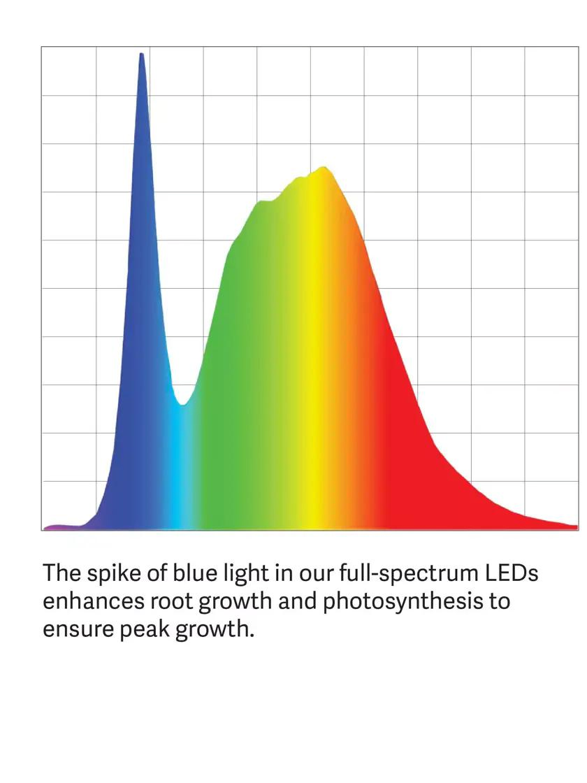 Wholesale Space-Saving Plant-Boosting Tabletop LED Grow Light for Garden