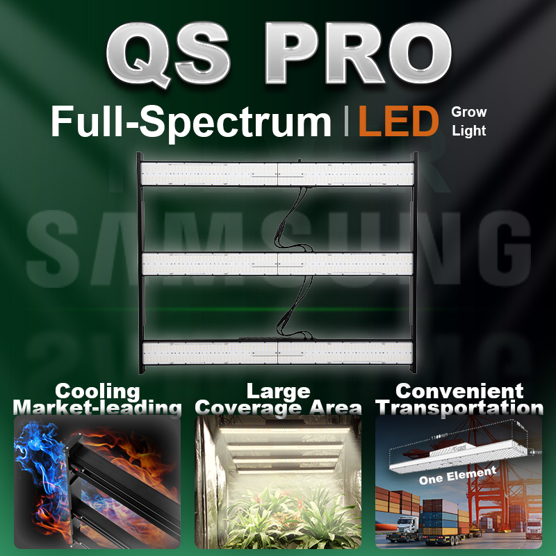 LED Full Spectrum Full Spectrum Weed Growing QS Suppliers 1000 Watt LED Growing Plants Succulents Grow Light Weed Growing Red Blue with 301h (CE)