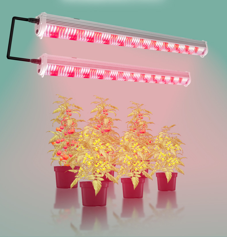 GS T8LED Full Spectrum Indoor Grow Light Plant Growth Seedling Tissue Culture Hydroponic Vegetable Succulent Farm Samsung IP65